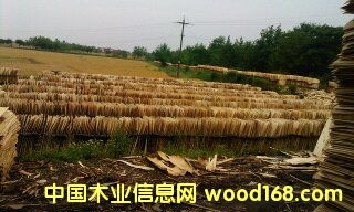 ���Іΰ��Ԕ��(x��)��B