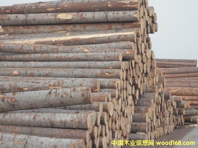 ���ɵ�Ԕ��(x��)��B