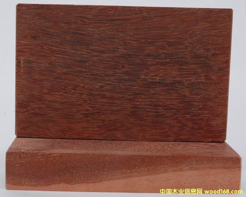 �t�Fľ4��Ԕ��(x��)��B