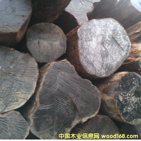    ���_�T(m��n)Tubi���~��̴ԭľ