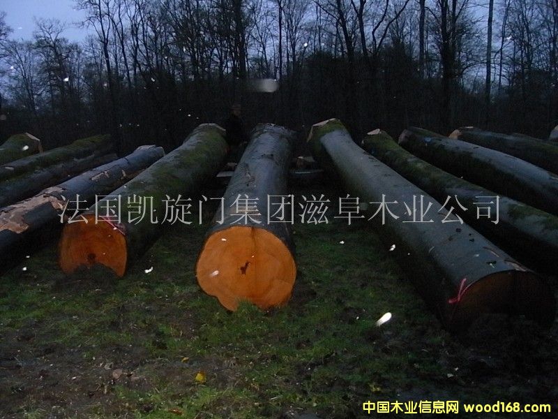 ����AB����ľԭľ��Ԕ��(x��)��B