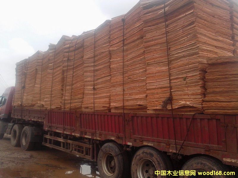 ��ľ�ΰ��Ԕ��(x��)��B