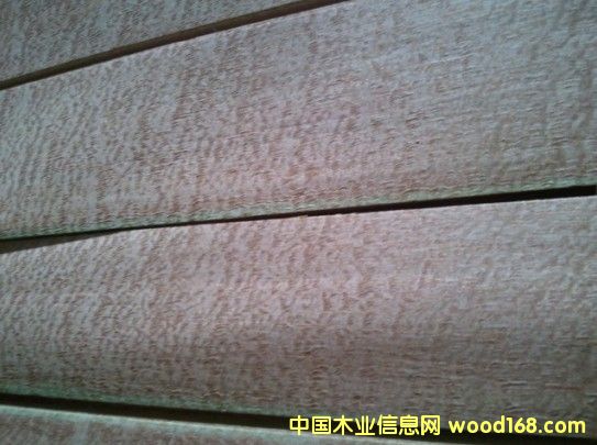 ����ľƤ��Ԕ��(x��)��B