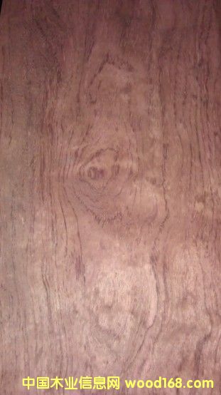 ����ɽ�y��Ԕ��(x��)��B