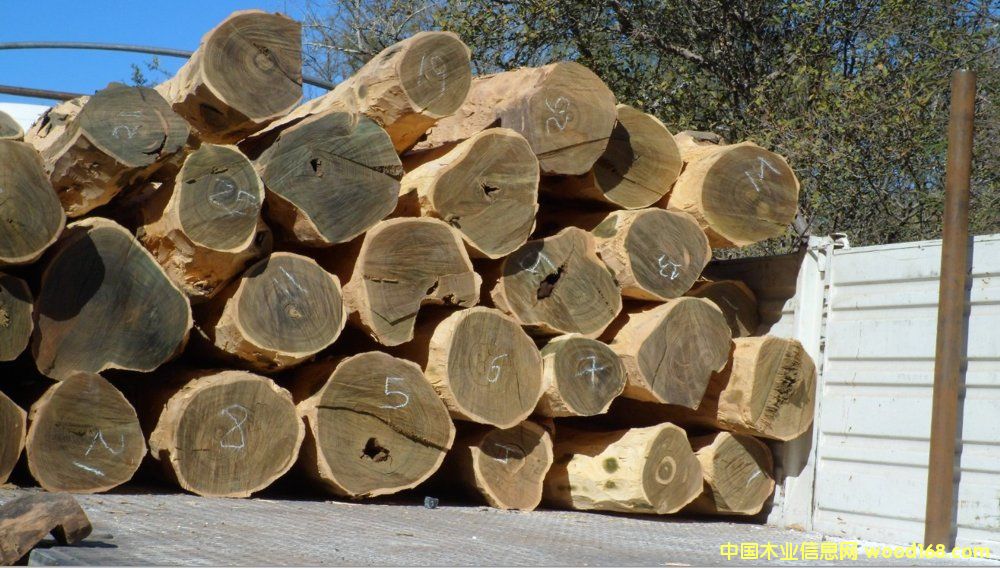 �G̴��Ƥԭľ��Ԕ����B