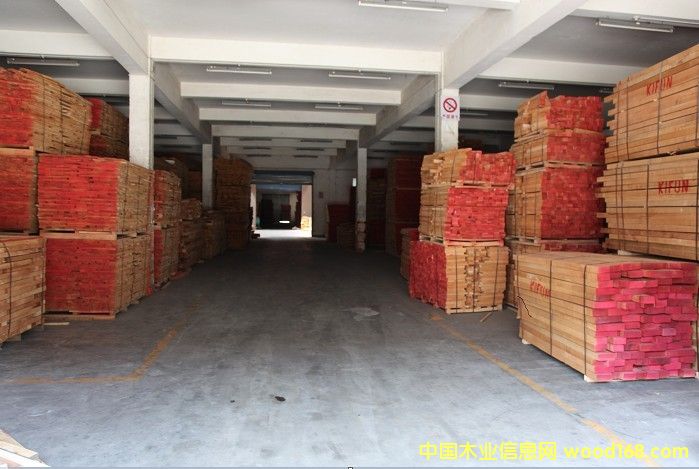 櫸木的詳細介紹