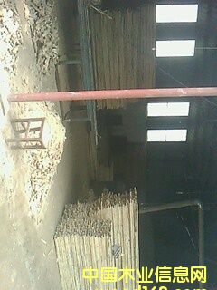 廠棚的詳細(xì)介紹