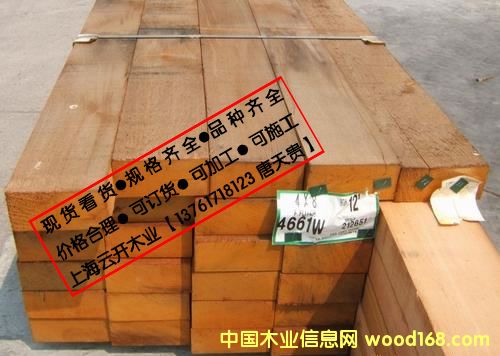 ����(y��ng)�ؼ�(j��)�tѩ��   ��(y��u)�|(zh��)�tѩ��  ���_�tѩ��