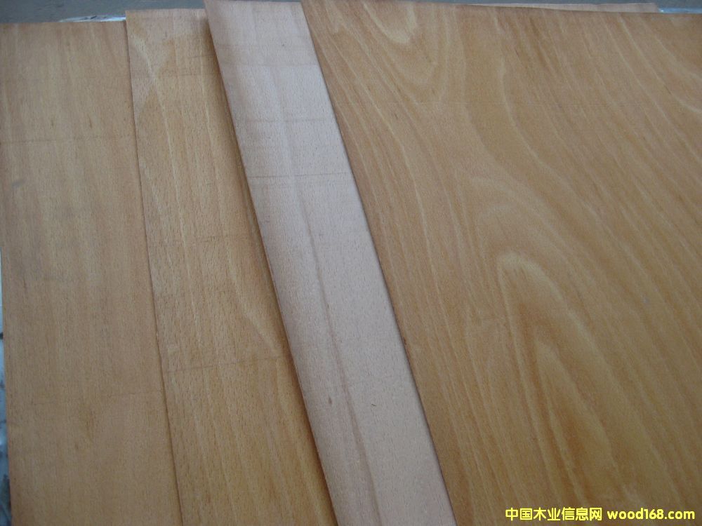 ��ľ�����