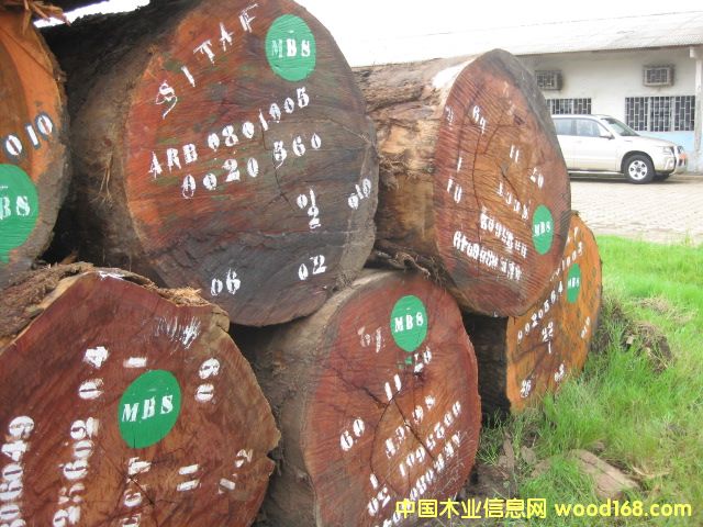 Okan �A�P(p��n)��