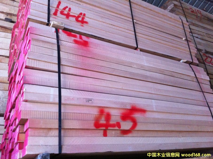 櫸木的詳細(xì)介紹