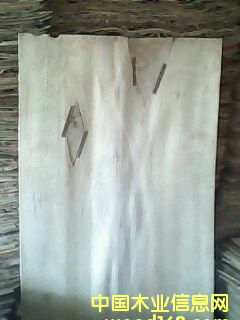 ��ľо���Ԕ����B