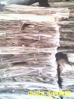 ��ľ�aƤ��Ԕ����B