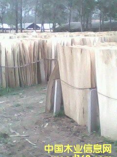 ��ľо���Ԕ����B