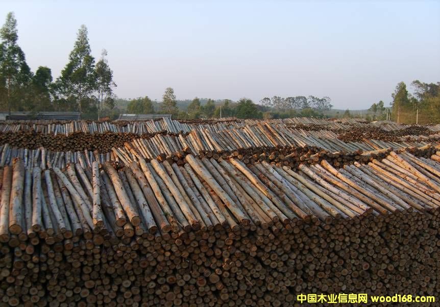 ���(sh��)ԭľ��Ԕ��(x��)��B