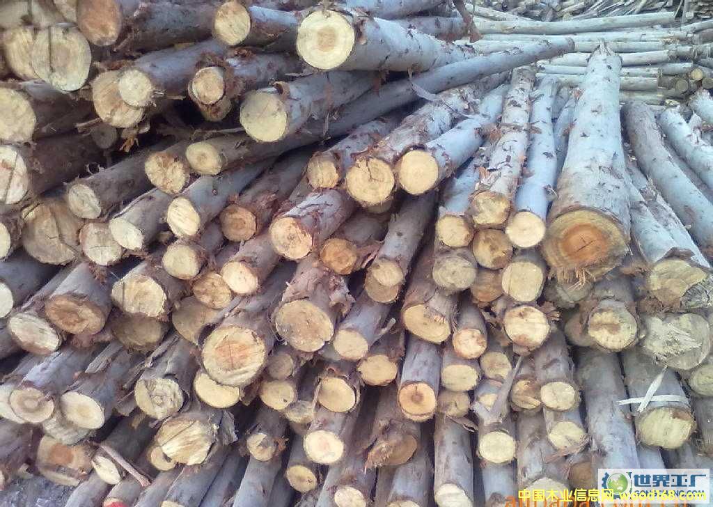 ���(sh��)��Ԕ��(x��)��B