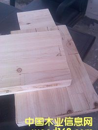 ��(sh��)ľ�T��Ԕ��(x��)��B