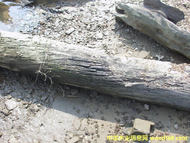 ꎳ�ľ70��Ԕ��(x��)��B