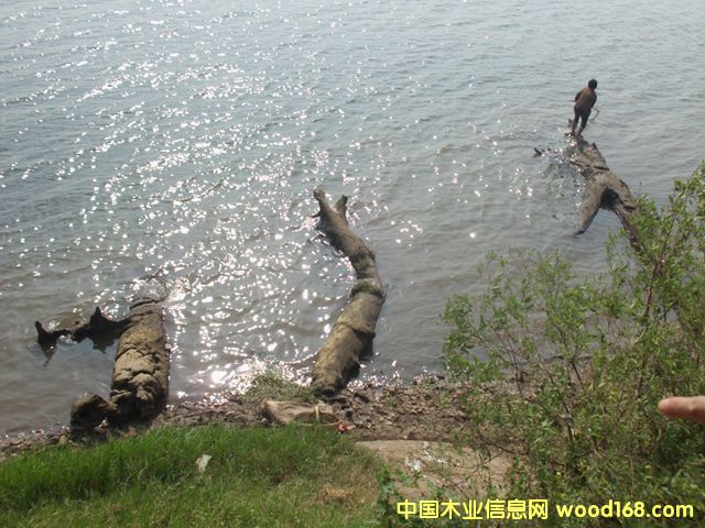 ꎳ�ľ52��Ԕ��(x��)��B