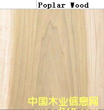 �M(j��n)�ڗ��(sh��)��Ԕ��(x��)��B