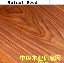 ����ľ��Ԕ��(x��)��B