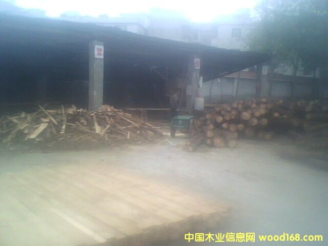 �S�^(q��)��Ԕ����B