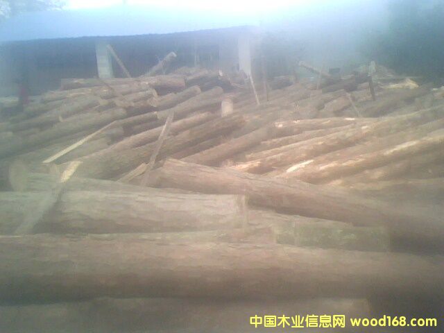 ��ԭľ��Ԕ����B