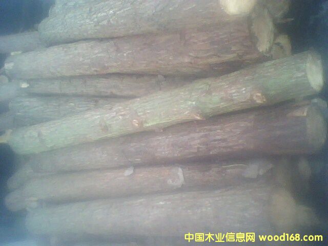 ɼԭľ��Ԕ����B