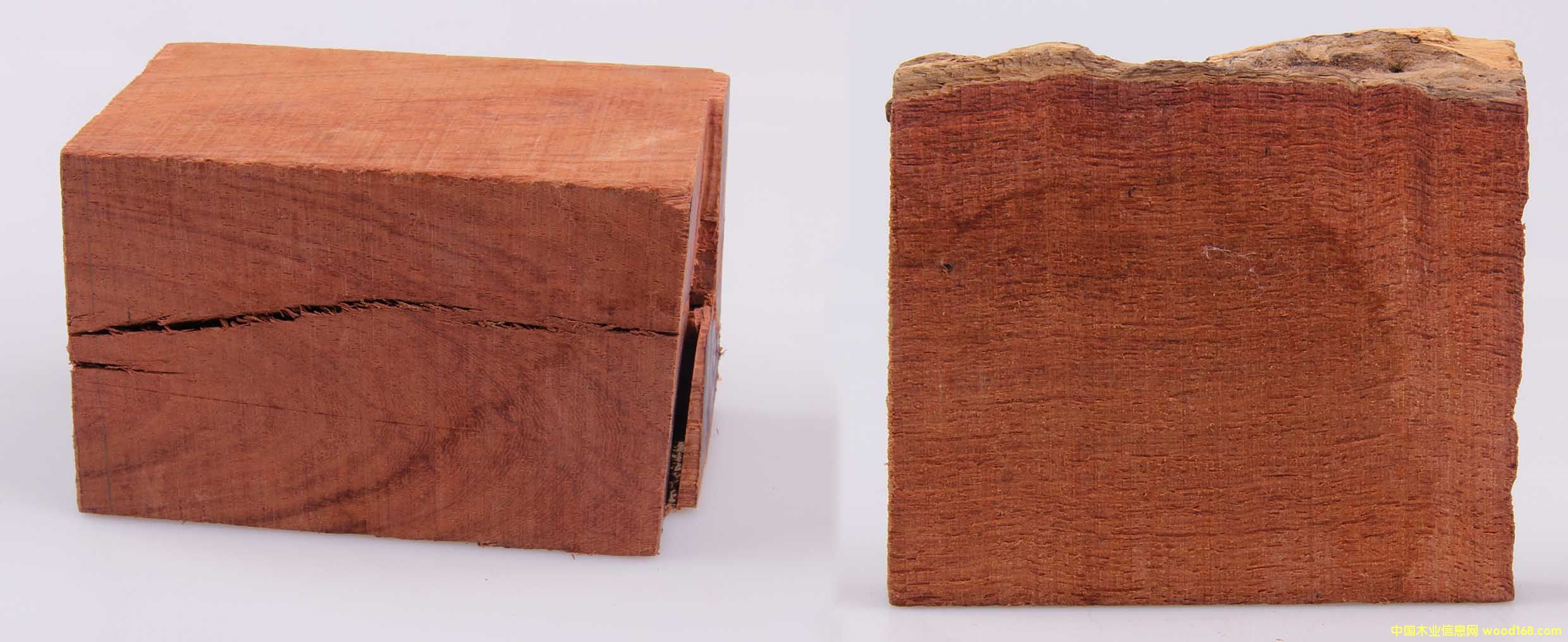 ����ľ��Ԕ����B