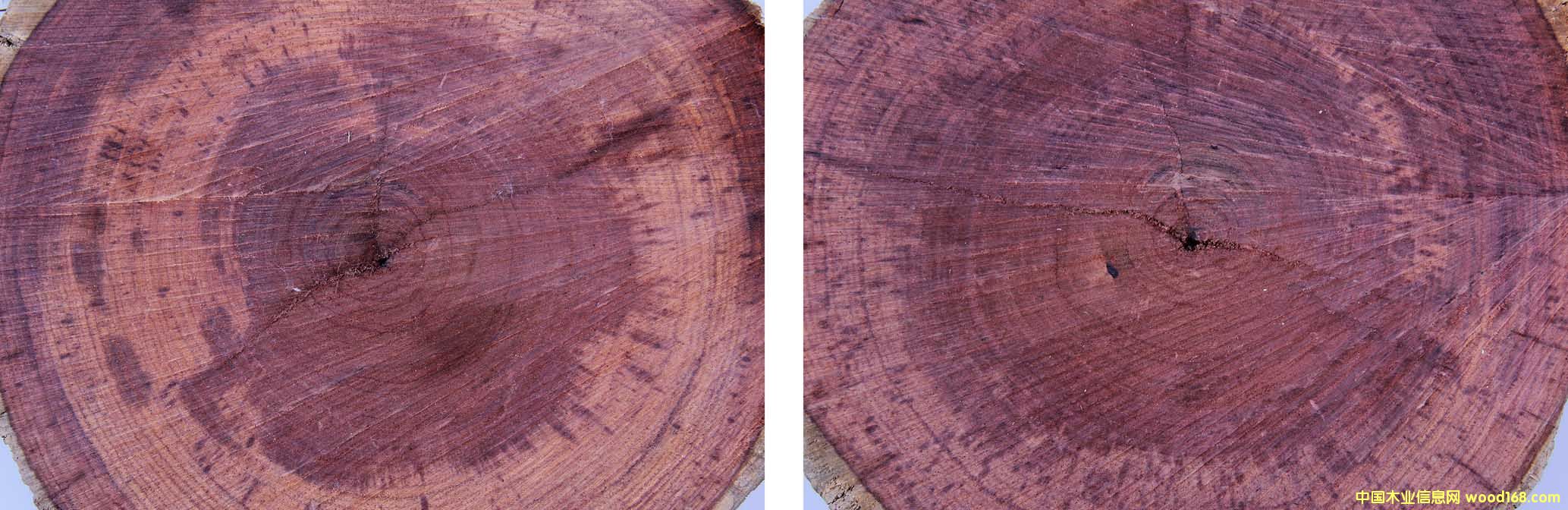 ��֦ľ��Ԕ����B