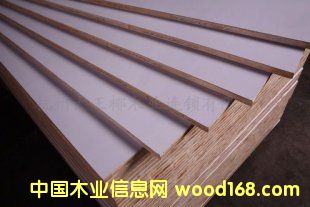 ������Ԕ��(x��)��B