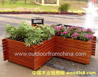 �c(di��n)���鿴��(sh��)ľ���� ��ľ���۷Ŵ�DƬ