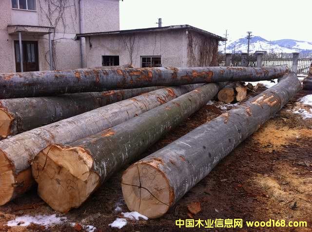 �W�ޙ�ľ��Ԕ��(x��)��B