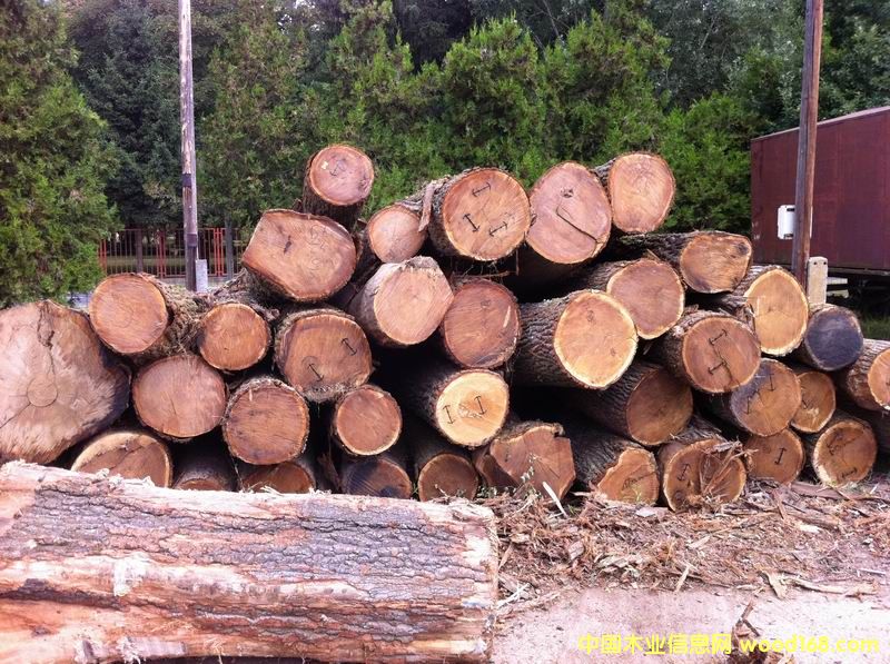 �W����ľ����ľ��Ԕ��(x��)��B