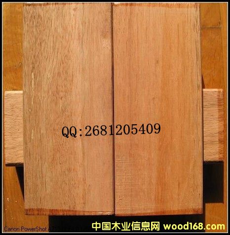 [��] �Ϻ���(y��u)�|(zh��)����ľ������ľ�N�����ľ�|(zh��)�����������ľ�ÏS��