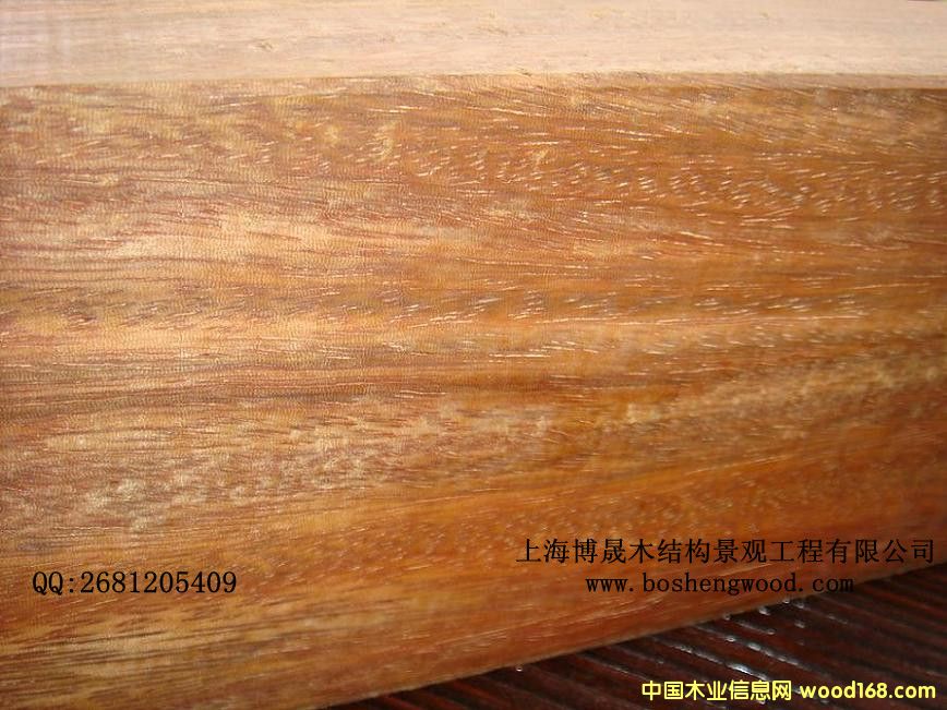 [��] ��(y��u)�|(zh��)���}�� ���޲��}����ÏS�� ����ľ�r��