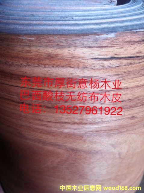 ������֦�o����ľƤ��Ԕ����B