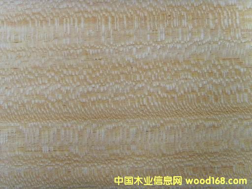 0.3mm黃尼絲精品木皮 0.3mm黃尼絲精品木皮