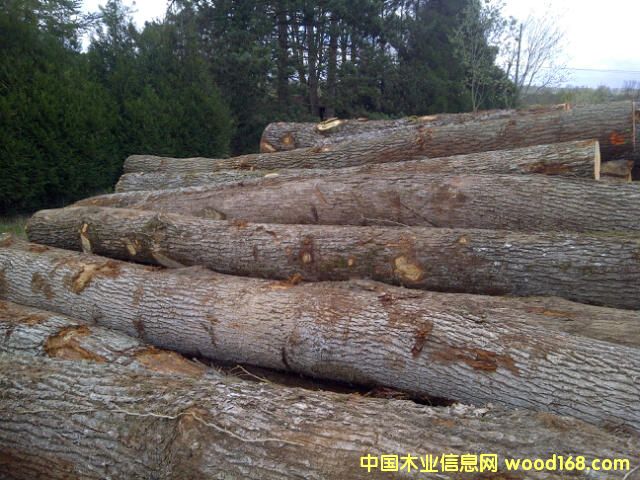 �W��ABC��(j��)