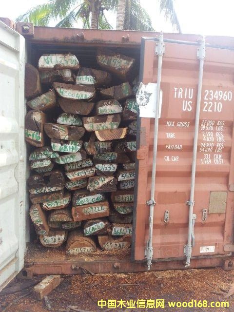 �t�F����chanate)