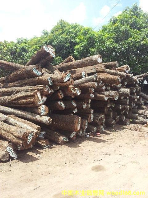 檀香(sandal) 檀香(sandal)