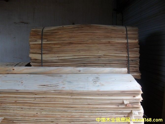 馬尾松木皮 馬尾松木皮