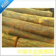 蓮株木原木 蓮株木原木