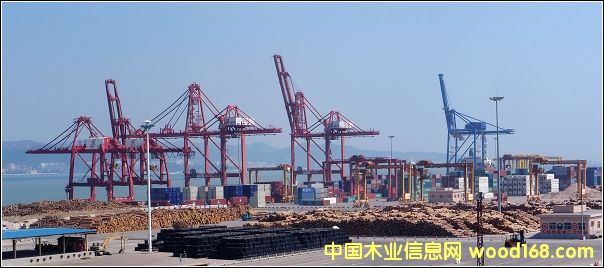 �B�T���y�ۅ^(q��)ľ��