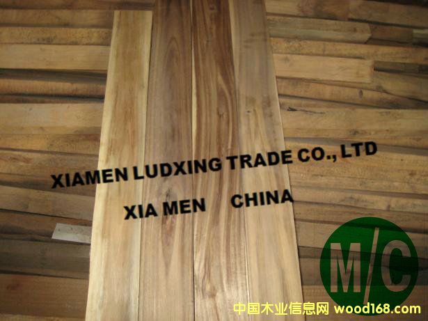 ��˼ľ�������˼ľ�ذ�������acacia5