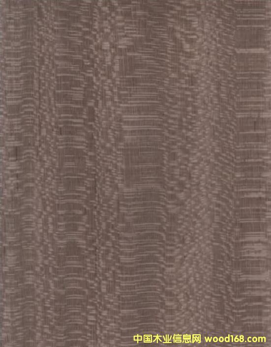 �{�~Ƥ��Ԕ����B