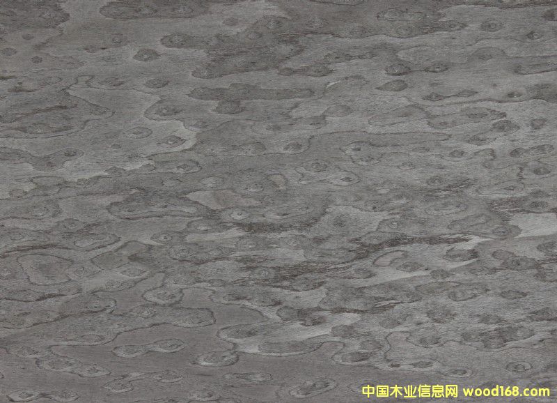 ��؈�۵�Ԕ����B