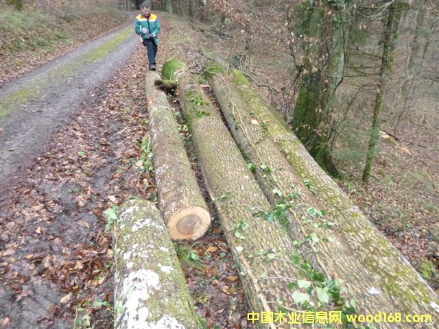 ��˨ԭľ��Ԕ��(x��)��B