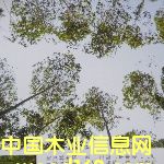 ���B(t��i)���Ԕ��(x��)��B