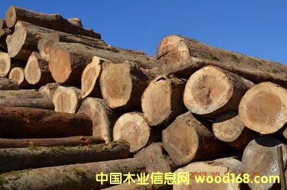 ��ɣľ��Ԕ����B